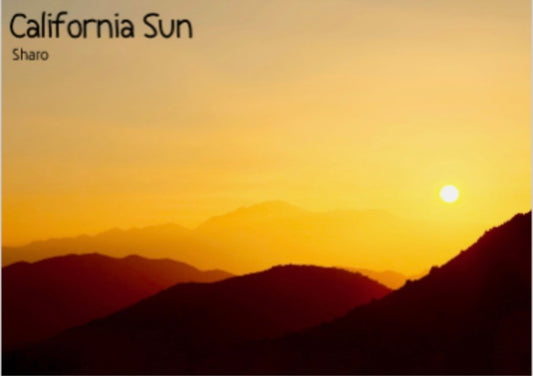 California Sun 11x14 Canvas Print