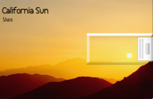 California Sun Pendrive
